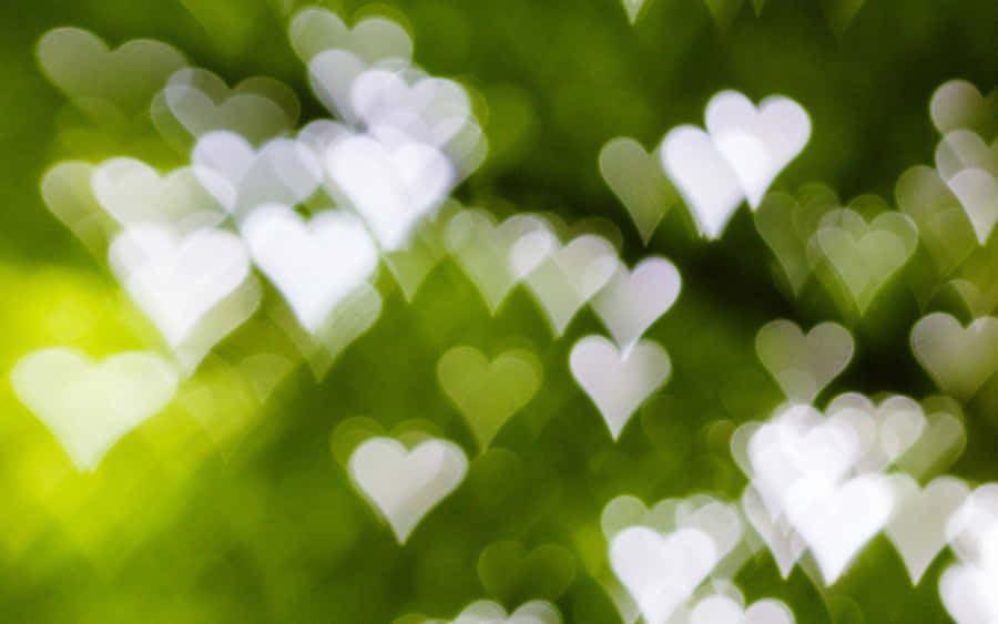 Bokeh Herzen auf grünem Hintergrund
