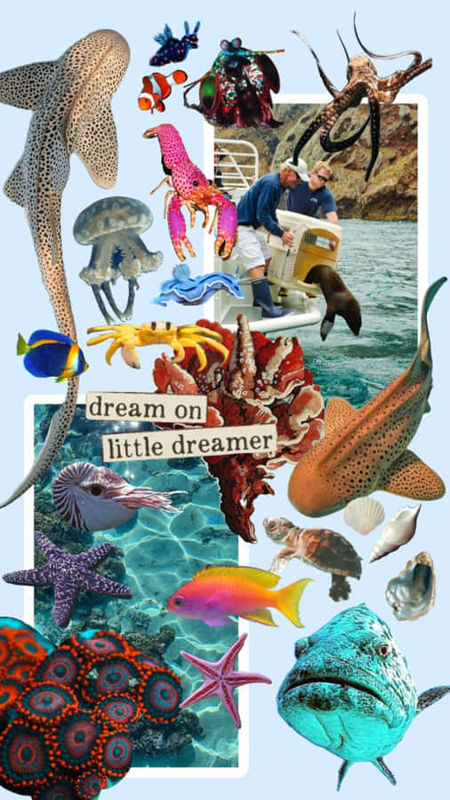 Marine Life Collage_ Träume weiter, kleiner Träumer