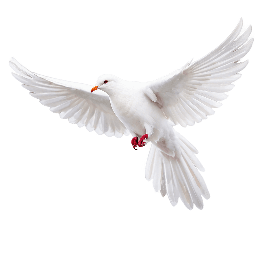 White Dove Purity Icon PNG 61