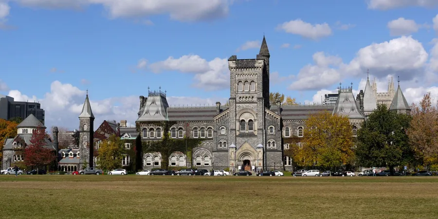 University background
