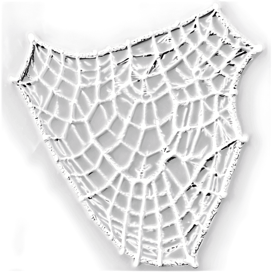 Abstract Cobweb Art PNG 05262024