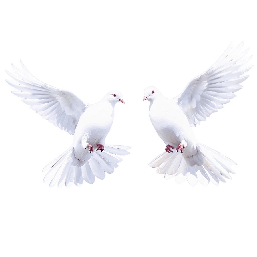 White Doves in Flight PNG 05252024
