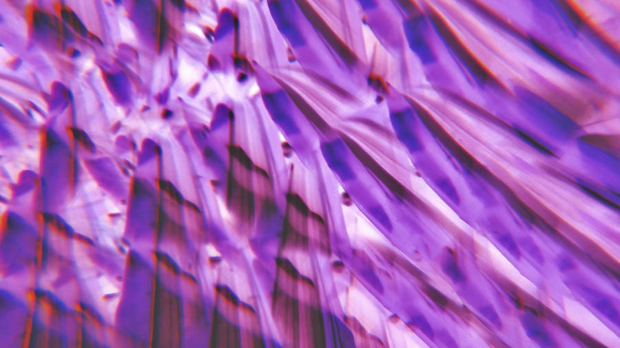 Lilla viola estetica petalo sfondo astratto