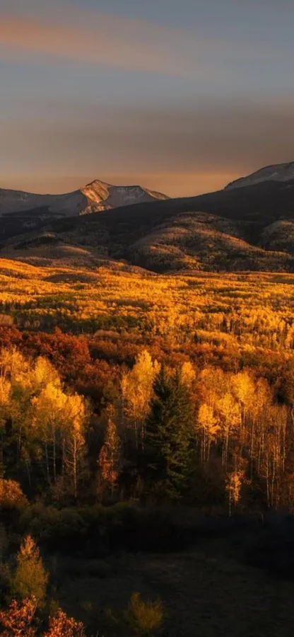 Fall Mountain