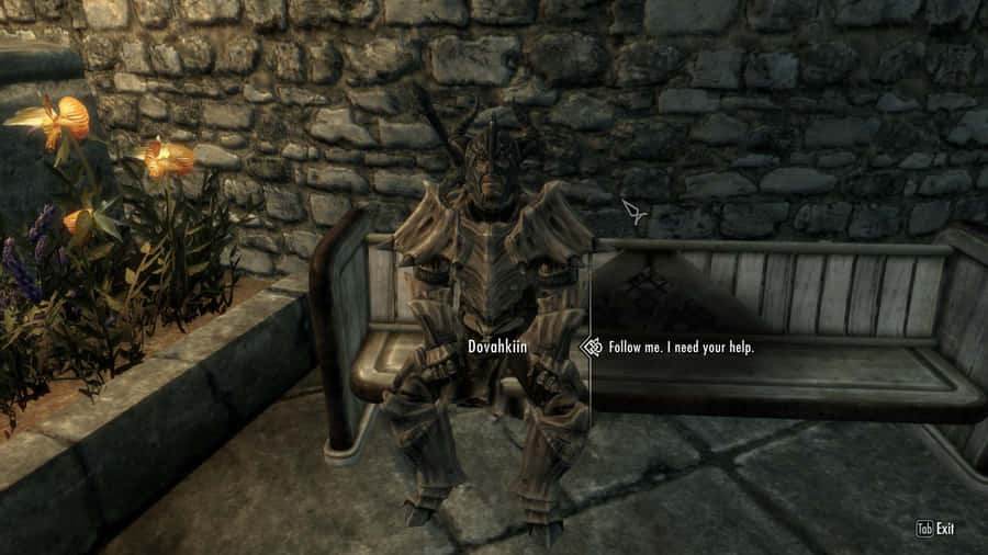 Dovahkiin1600 x 900 Hintergrundbild
