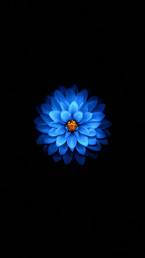 Samsung Amoled