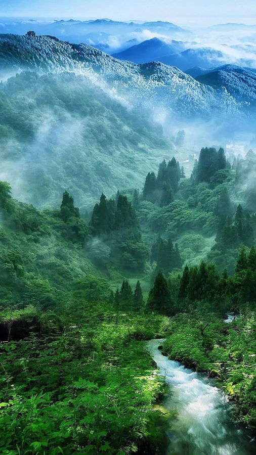 Android Nature