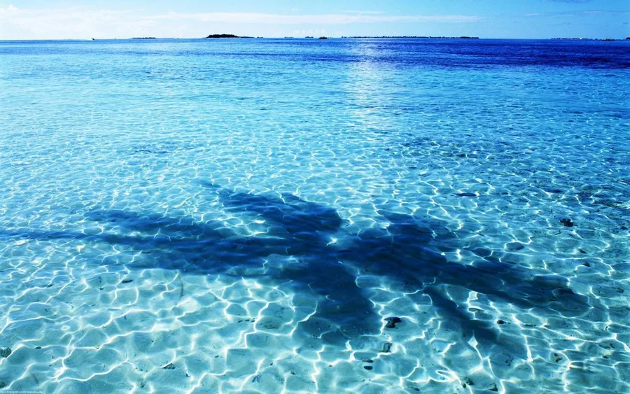 Ocean Blue background