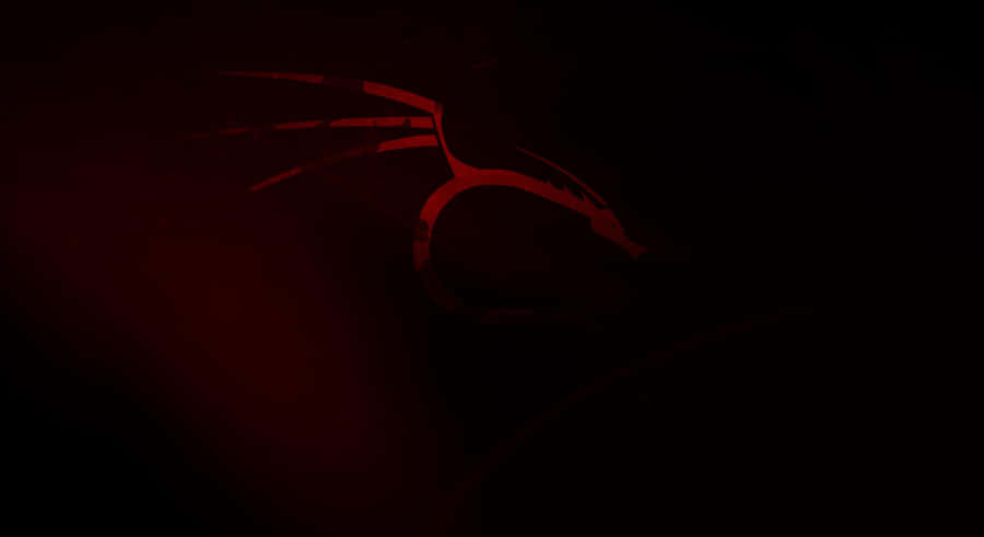 Kali Linux background