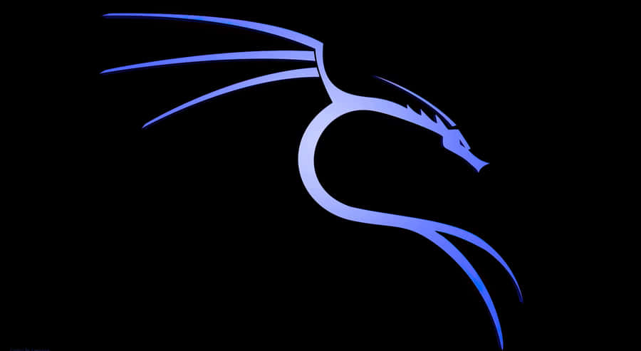 Kali Linux background