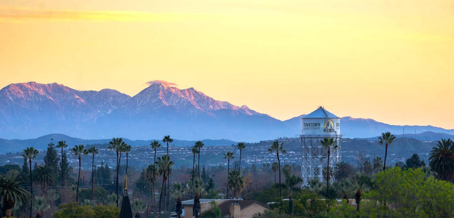 Oplevet tropisk paradis i Santa Ana, Californien!