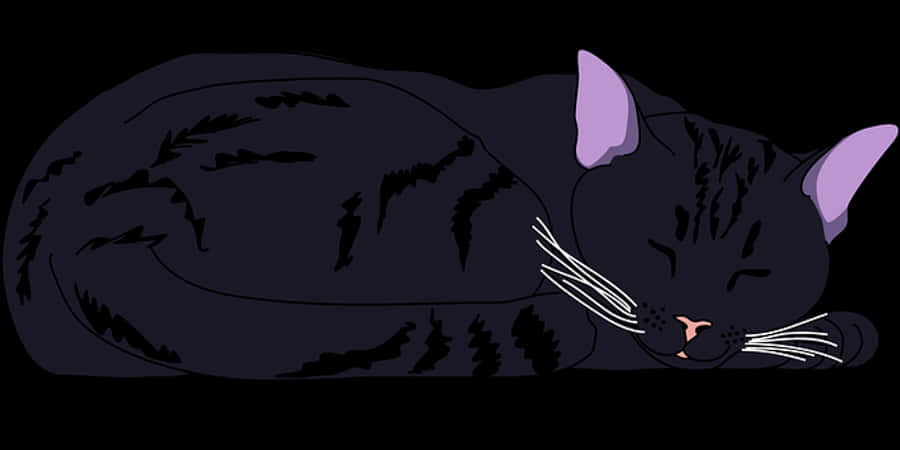 Sleeping Black Cat Illustration