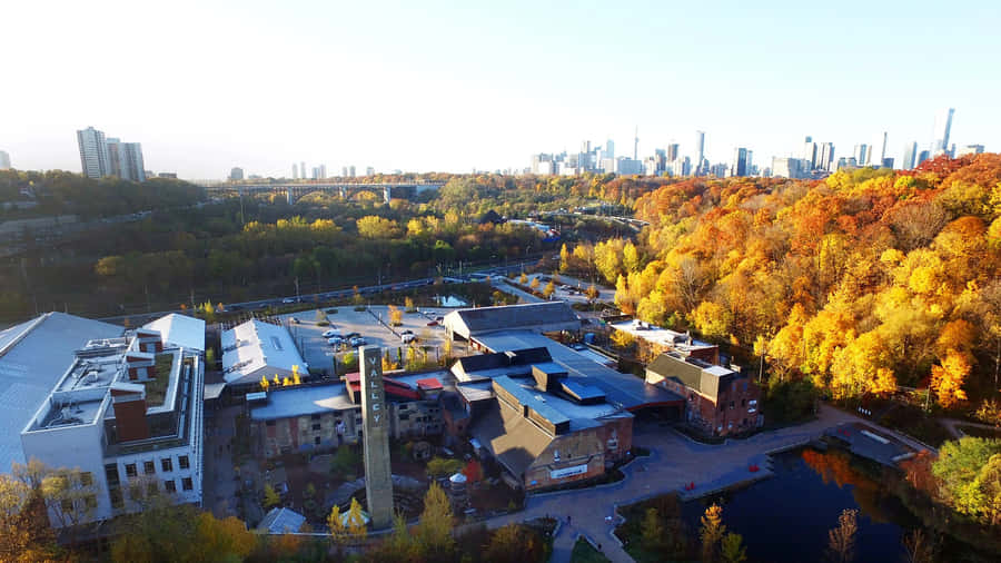 Vista aerea di Evergreen Brick Works in autunno