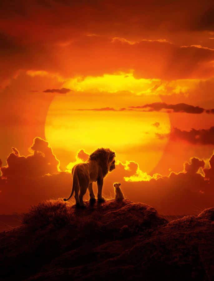 Silhouette del Re Leone al Tramonto