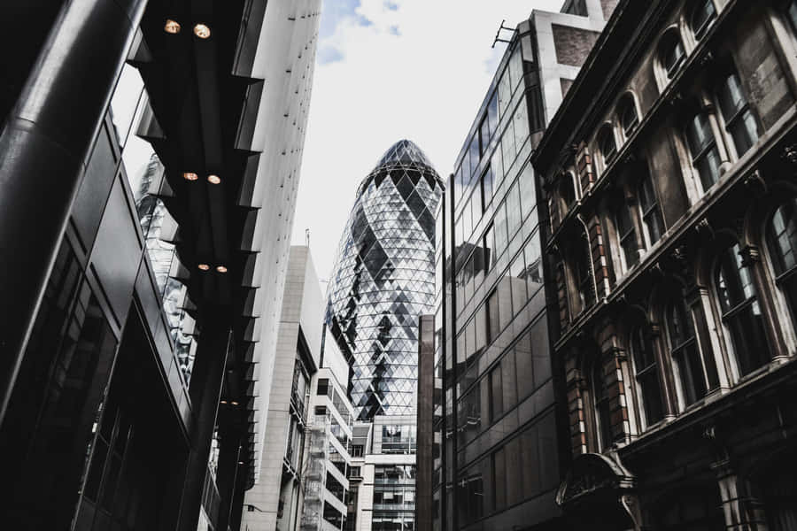 The Gherkin Modern Black And White
