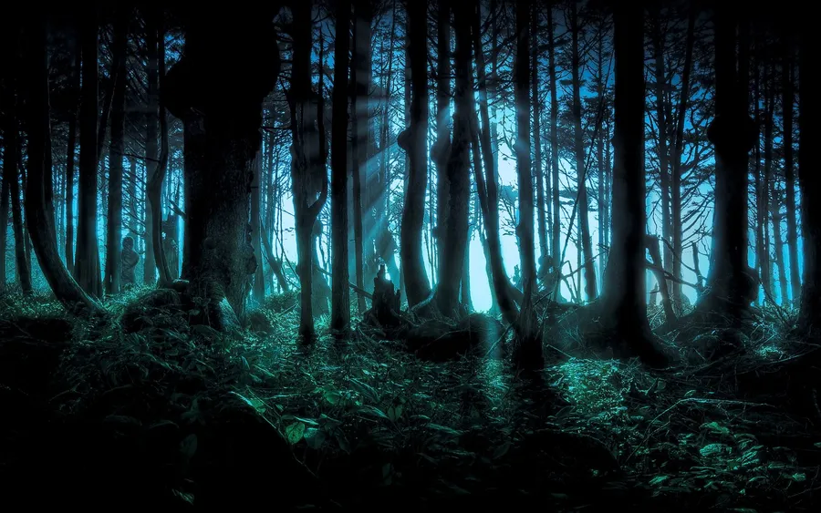 Dark Forest Background