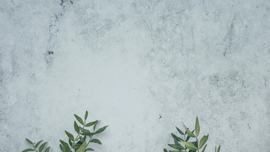 Google Meet Virtual Background