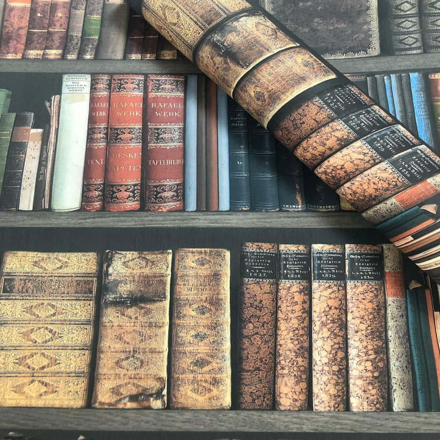 Antike Bücherregal Dunkle Ästhetik
