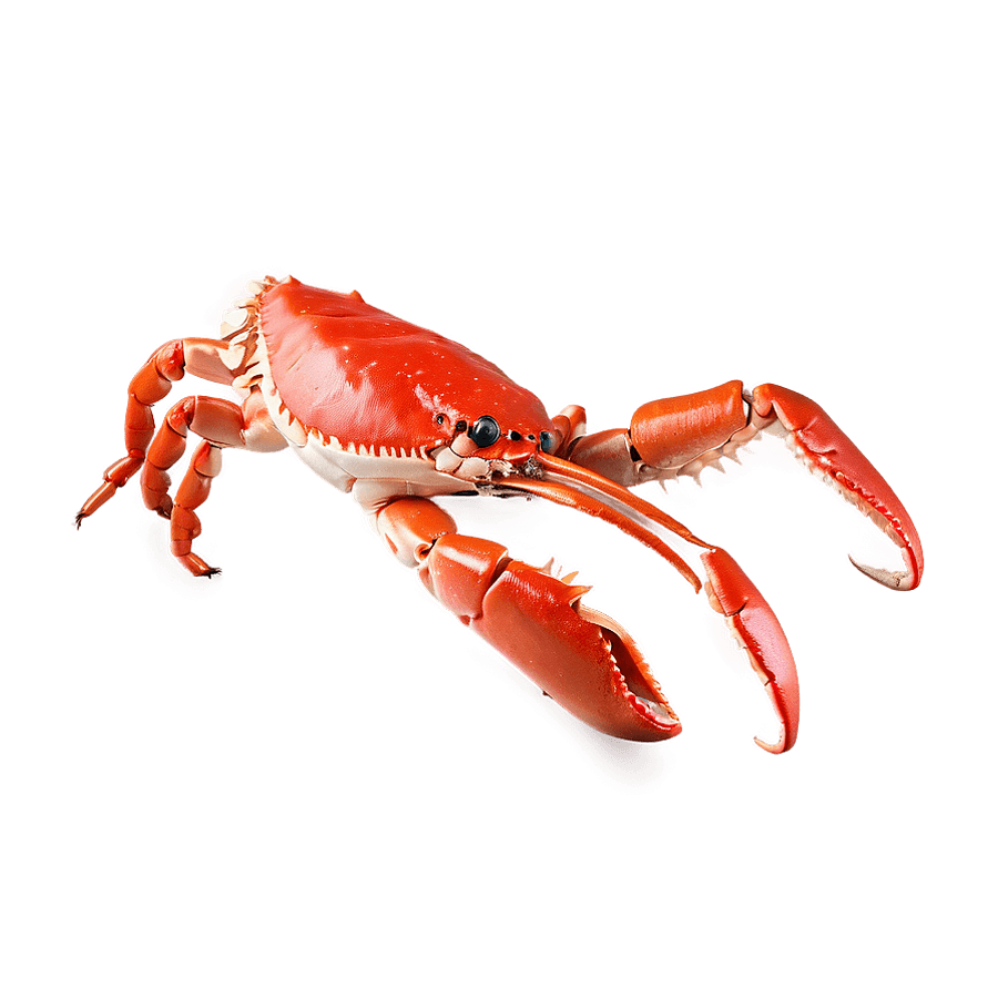 Exquisite Crab Legs PNG ixq