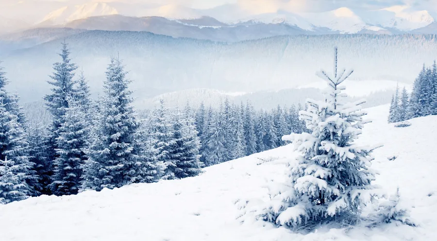 Hd Winter Background