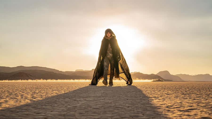 Viajante do Deserto ao Pôr do Sol