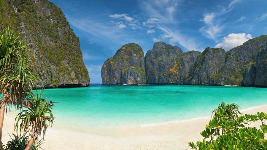 Download Koh Phi Phi White Beach Wallpaper | Wallpapers.com