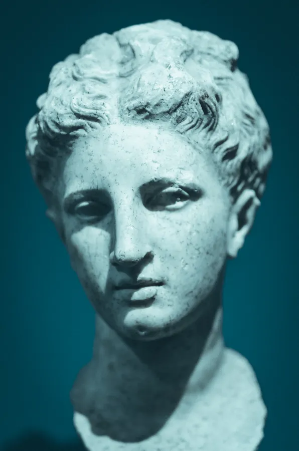 woman head bust