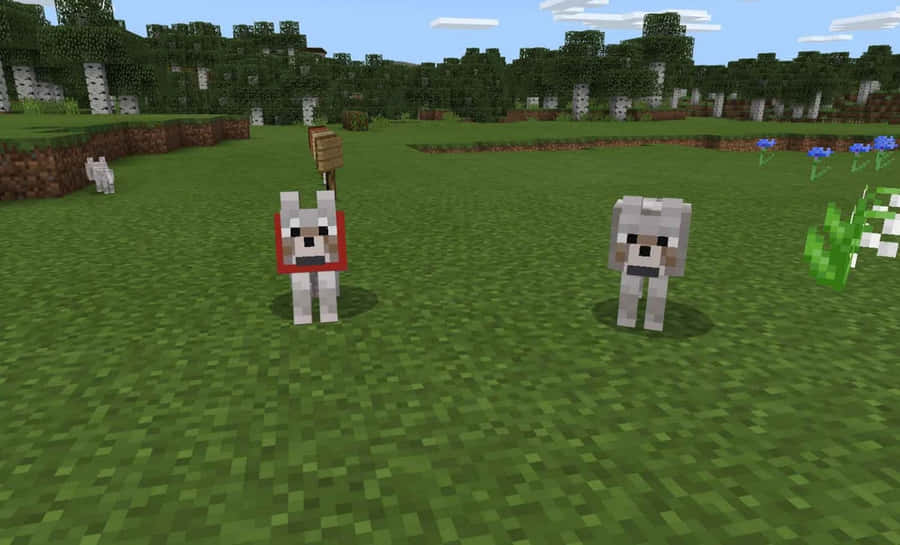 MinecraftVarg 1920 x 1163 skrivbordsbild