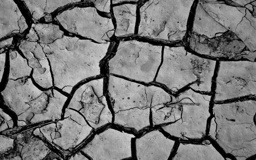 Rough Texture