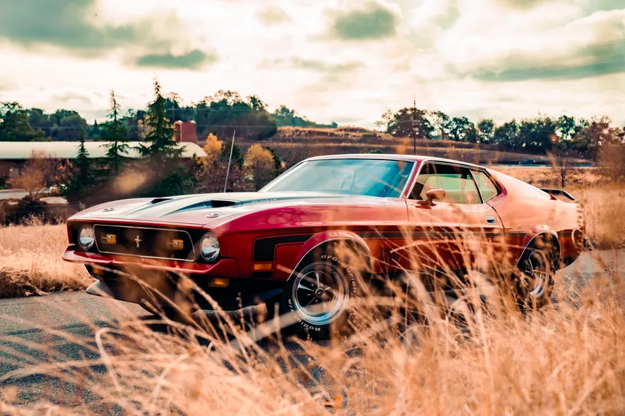 Ford background