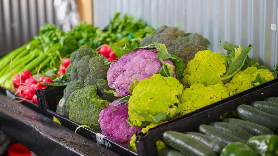 Fresh Cauliflower Harvest in Crates