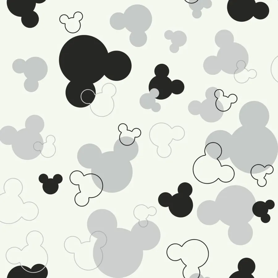 Mickey Mouse Ears