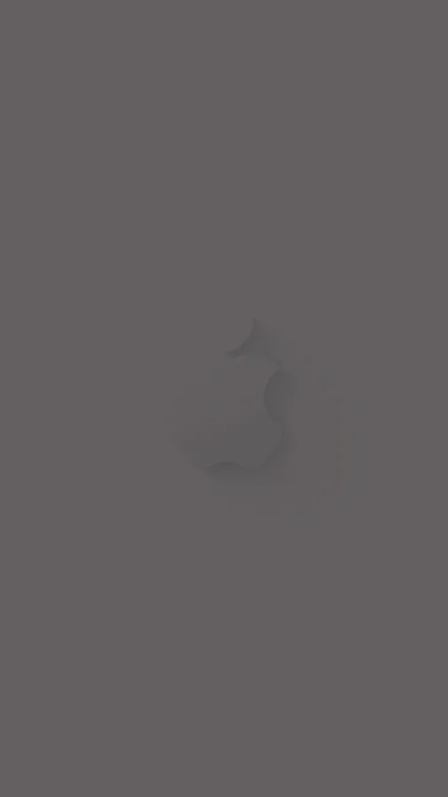 Apple In Solid Grey Background