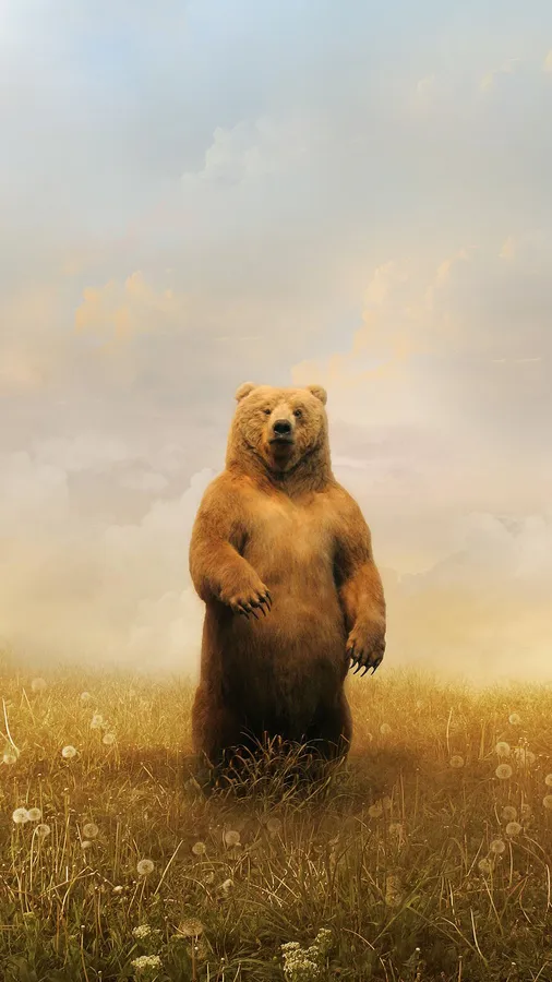 Cute Brown Bear