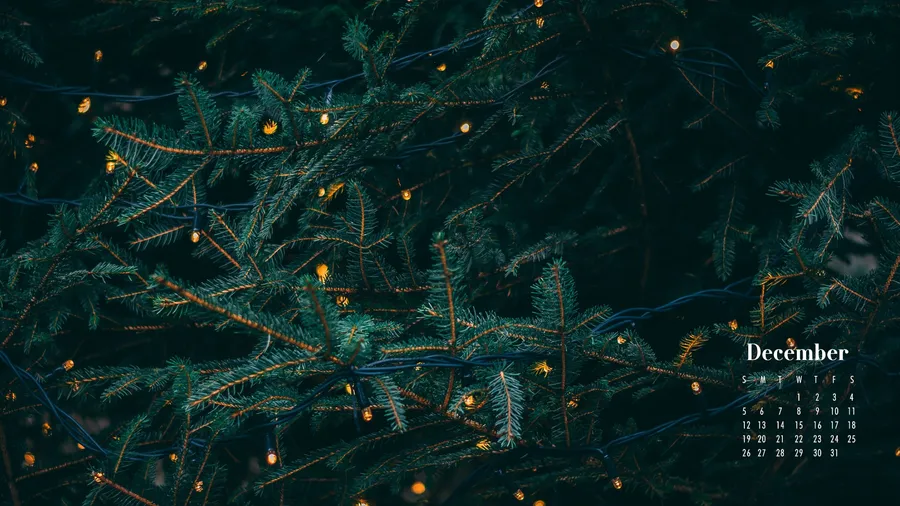 December Background