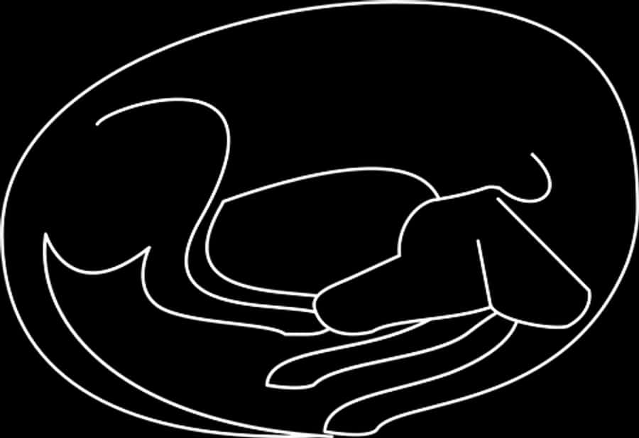 Sleeping Dog Silhouette Outline.jpg