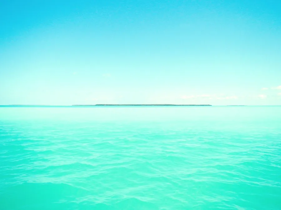 Mint Background