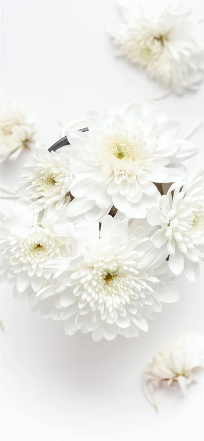 White Iphone Background