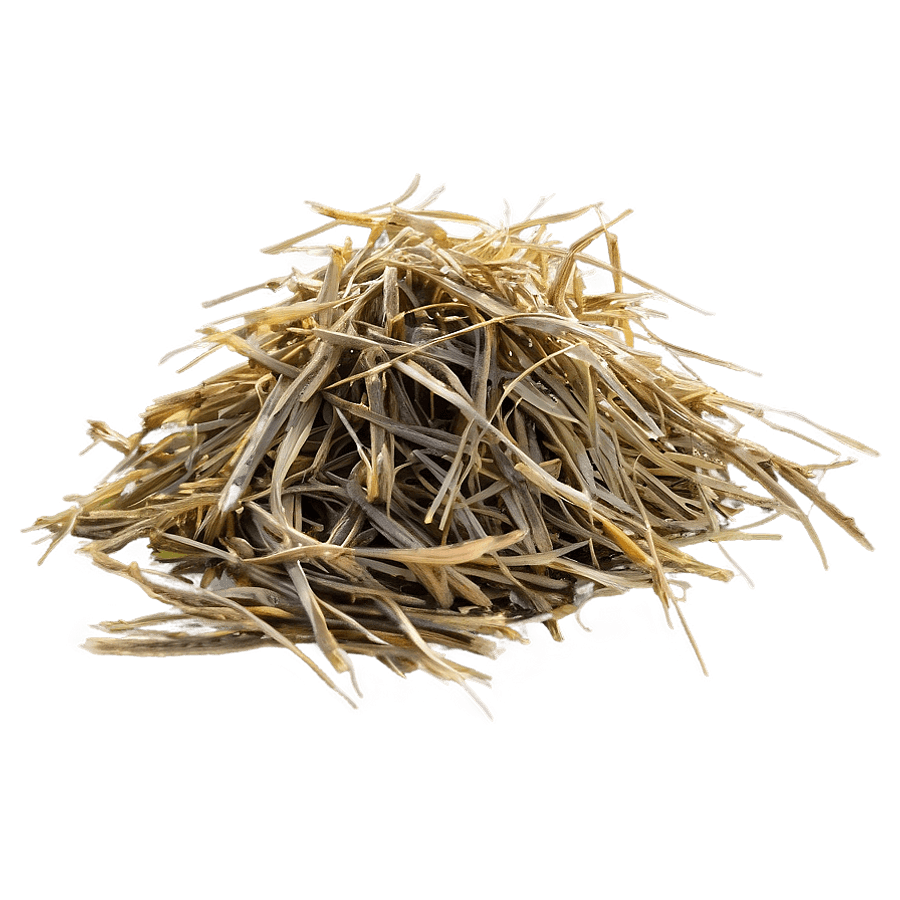 Dead Grass in the Morning PNG 84