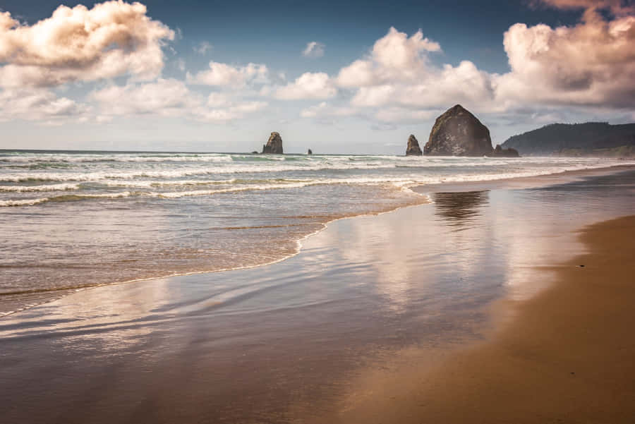 FotoEin malerischer Blick auf die Küste von Oregon.
