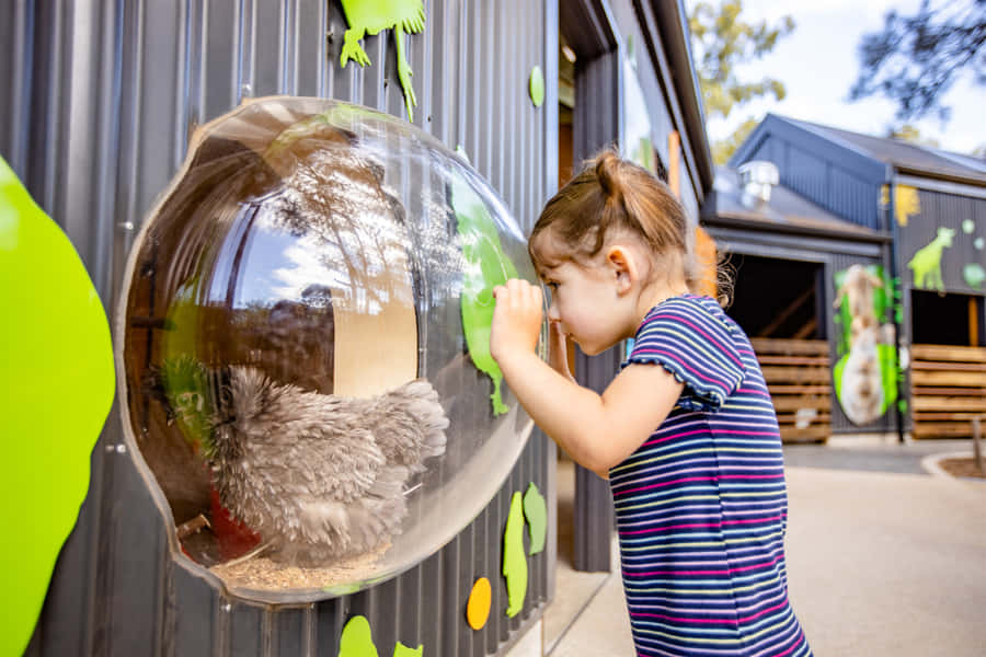 Encontro de Criança com Animais no Zoológico de Adelaide