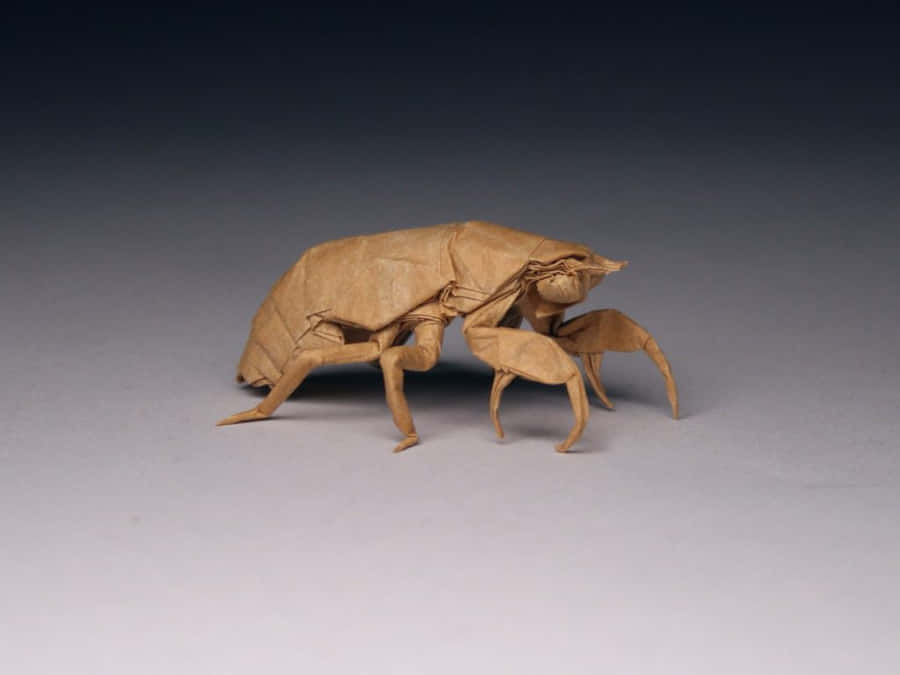 Origami Zikade Nymphe Bastel