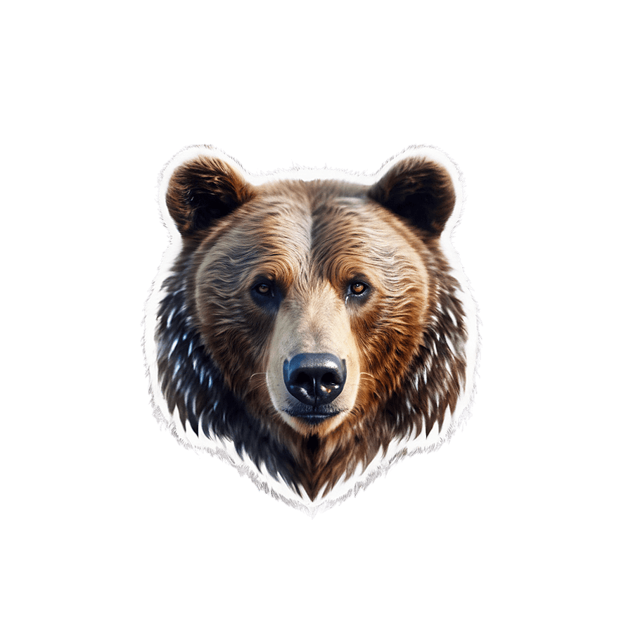 Enchanting Bear Portrait PNG rkf67