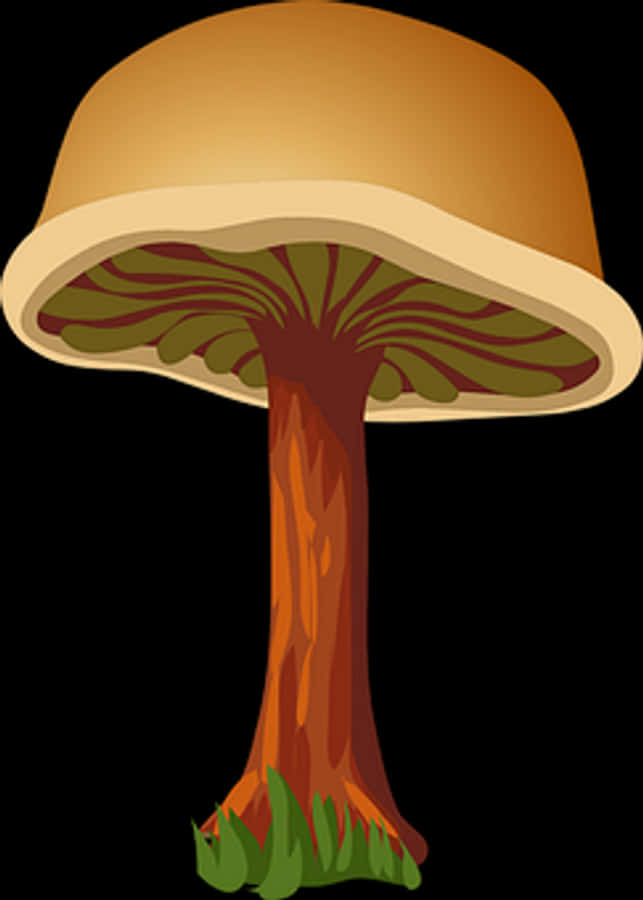 Stylized Cartoon Mushroom