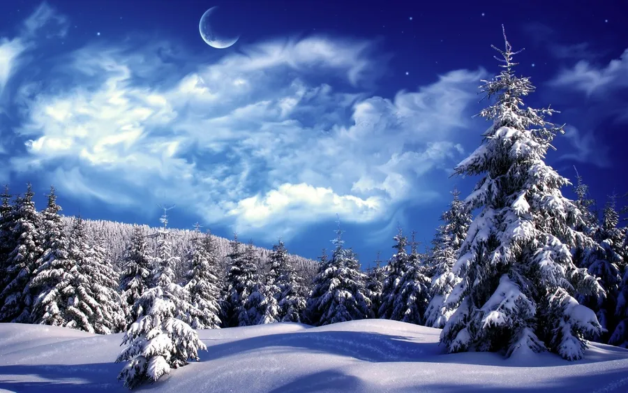 Winter Scenery Desktop