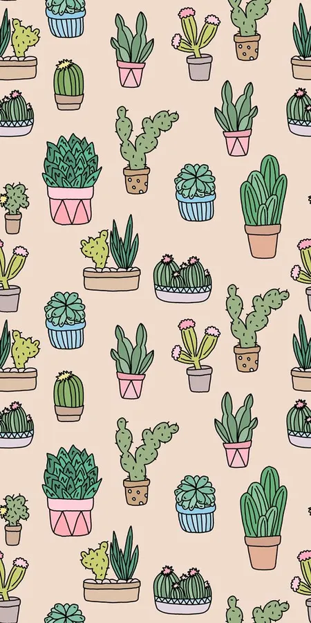 Cactus Iphone