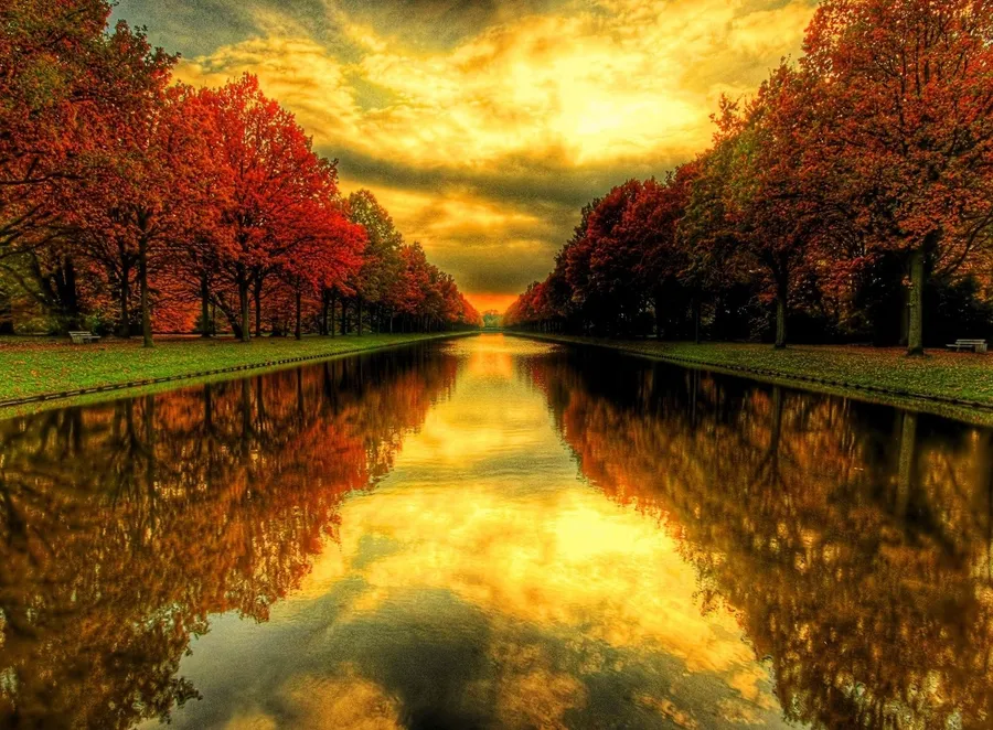 Fall Zoom Background