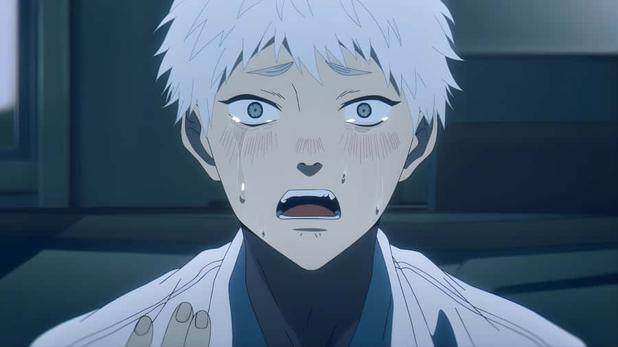 Hikaru’n Emotionaalinen Kaatuminen