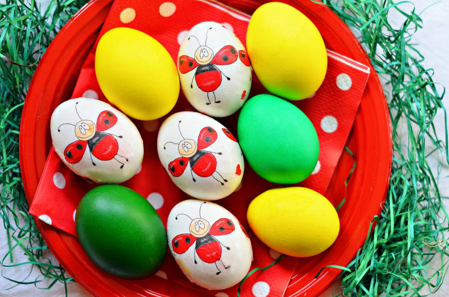 Download Ladybug Easter Eggs On Red Plate Wallpaper ...