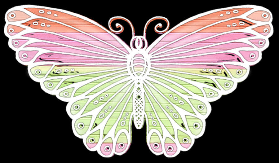 Colorful Butterfly Illustration